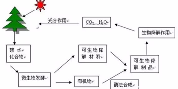 【力美新材料】可降解綠色塑料包裝？又有新發(fā)現(xiàn)...